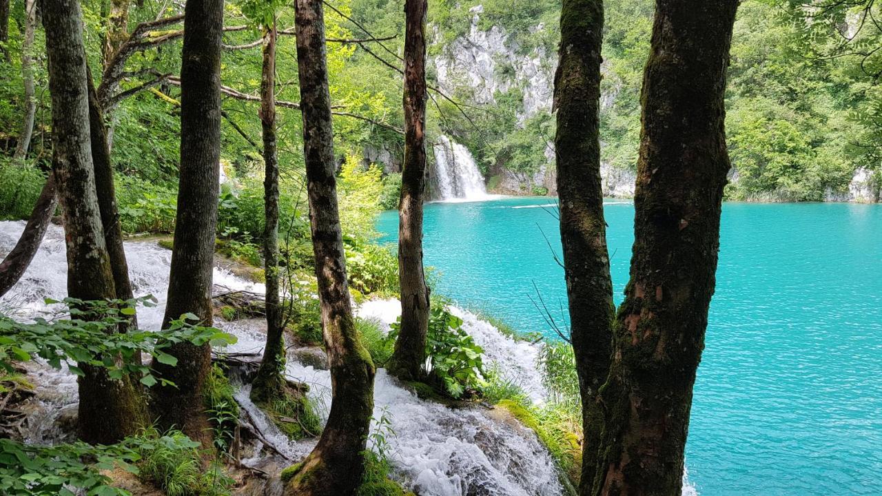 B&B Plitvica Villa Prica Plitvička Jezera Kültér fotó