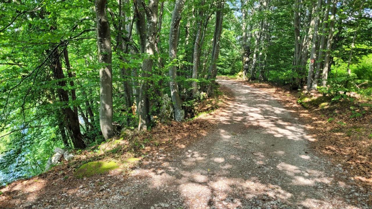 B&B Plitvica Villa Prica Plitvička Jezera Kültér fotó