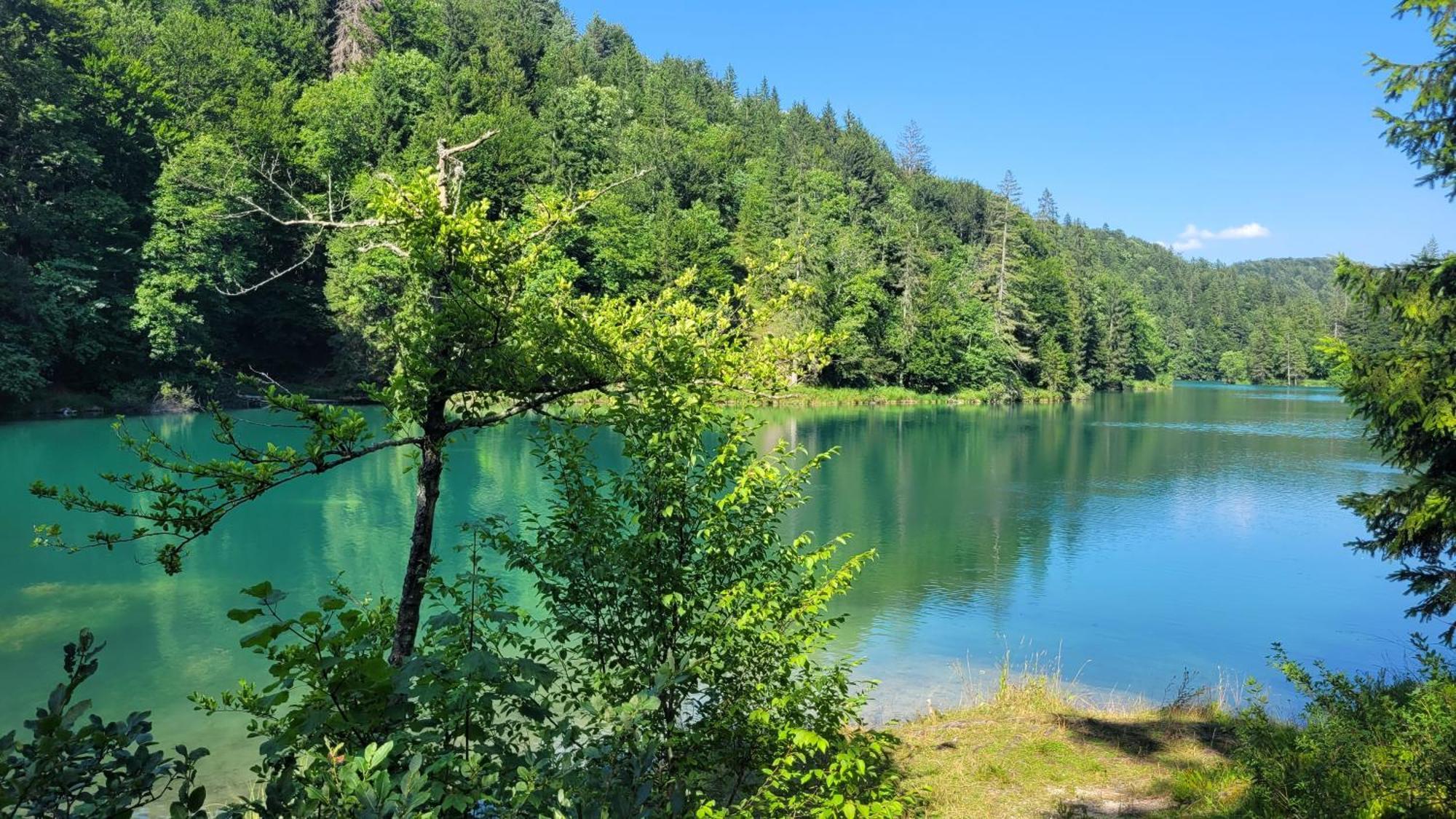 B&B Plitvica Villa Prica Plitvička Jezera Kültér fotó